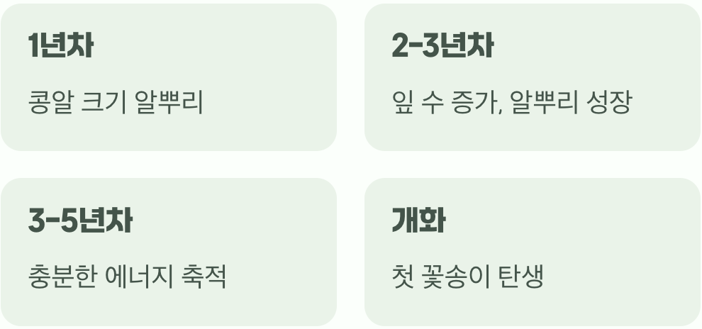 꽃을 보기까지, 인고의 세월