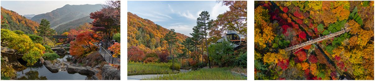 서울 단풍구경 가볼만한 곳