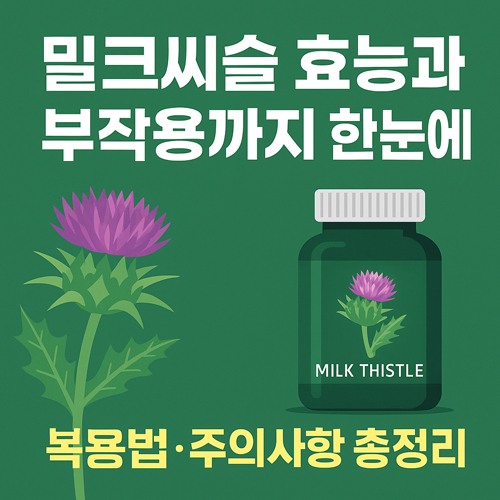 밀크씨슬 효능과 부작용까지 한눈에 | 복용법·주의사항 총정리