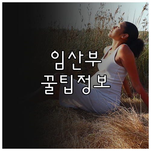 2025 부산 동구 임산부 건강관리 ..