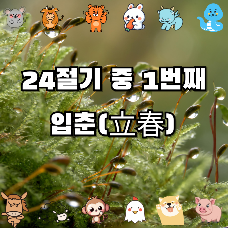 입춘(立春) ❘ 봄을 여는 24절기 🌸 입춘의 의미와 세시풍속