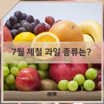 7월 제철 과일 고르는 법과 가장 맛있게 먹는 팁 소개_21