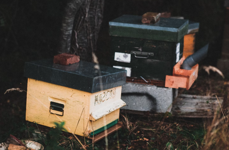 리빙박스 버리기 완벽 가이드: 분해부터 분리수거까지 친환경 처리법 총정리