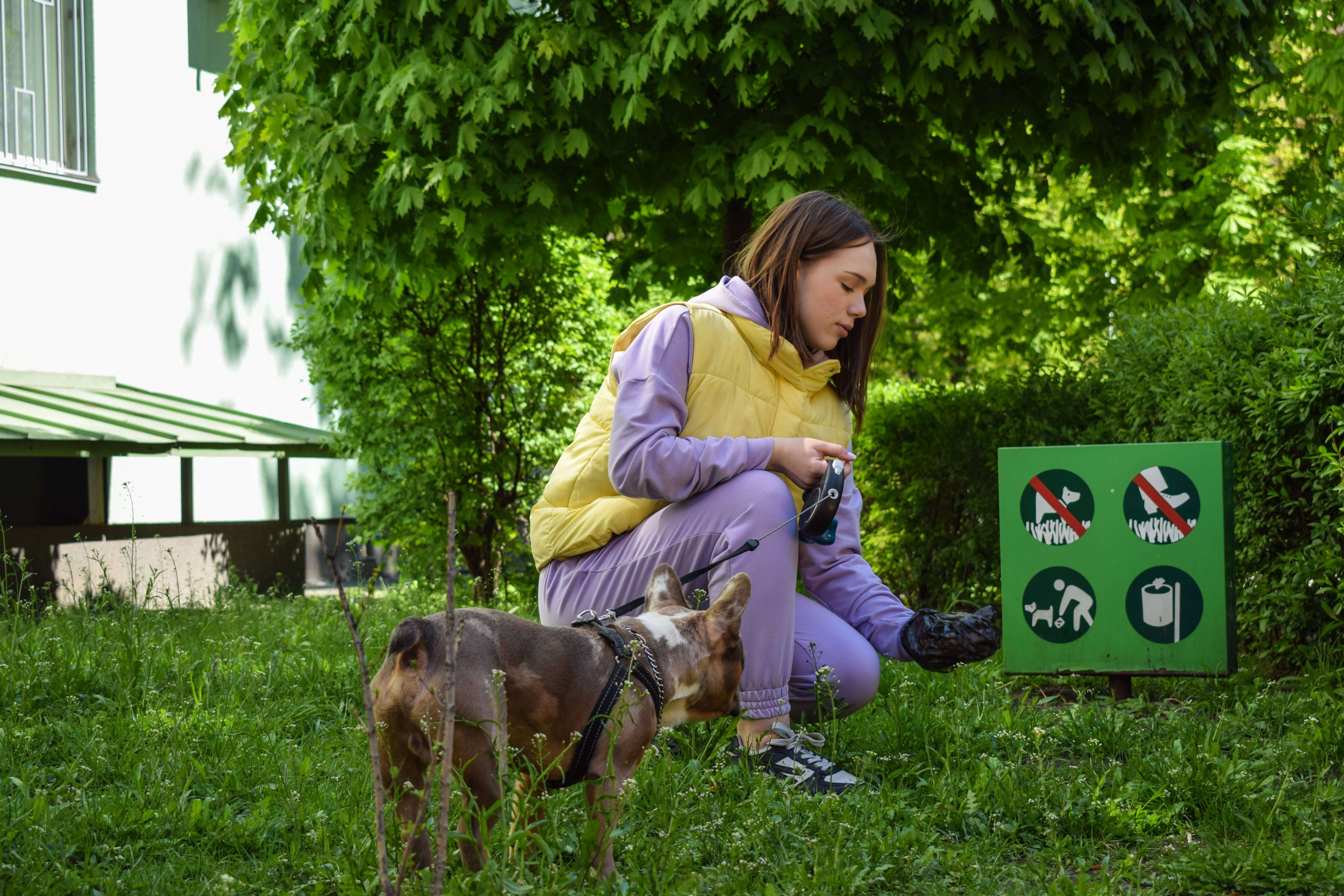 야외에서 강아지똥을 치우는 모습