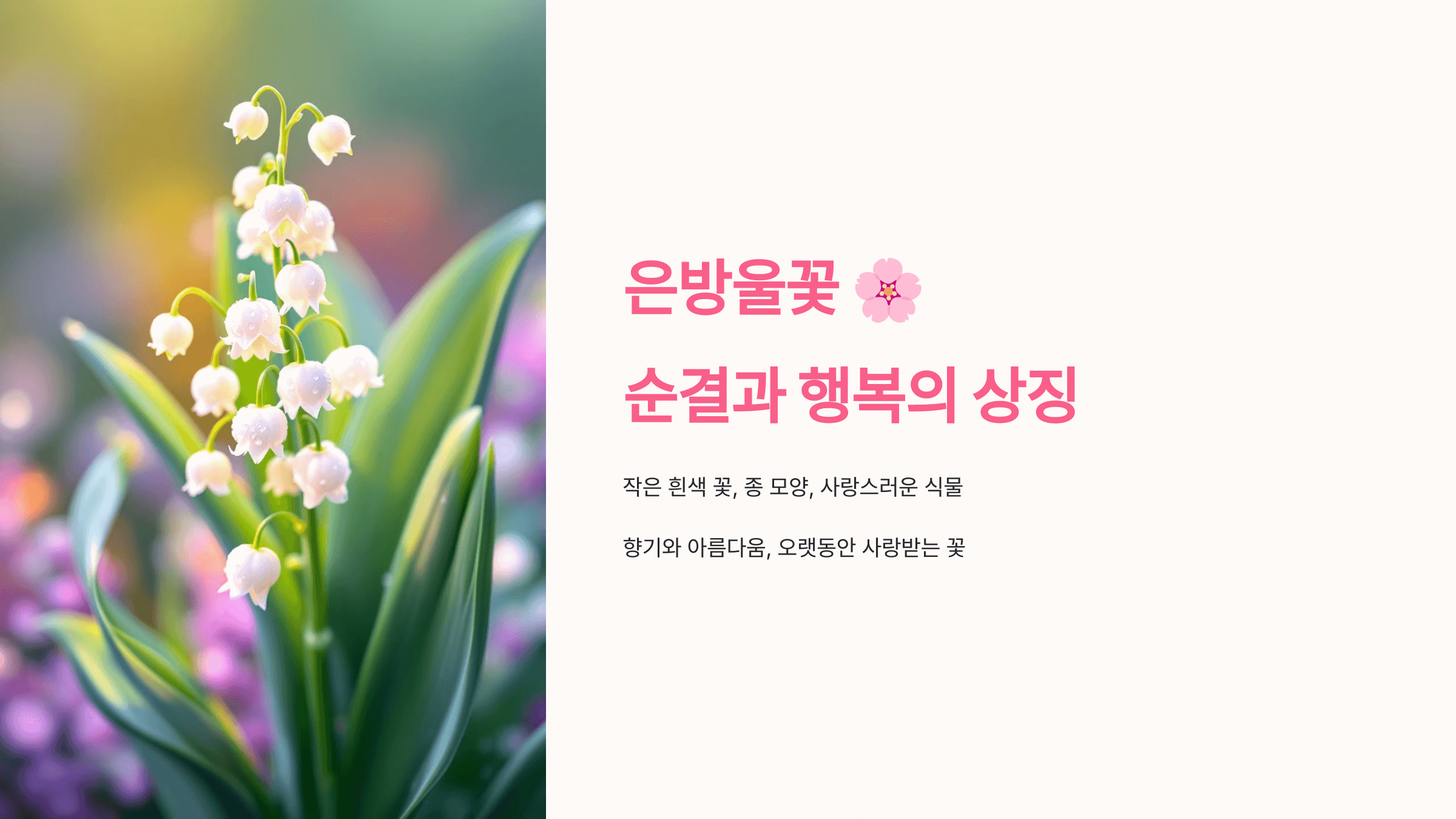 은방울꽃 사진입니다.