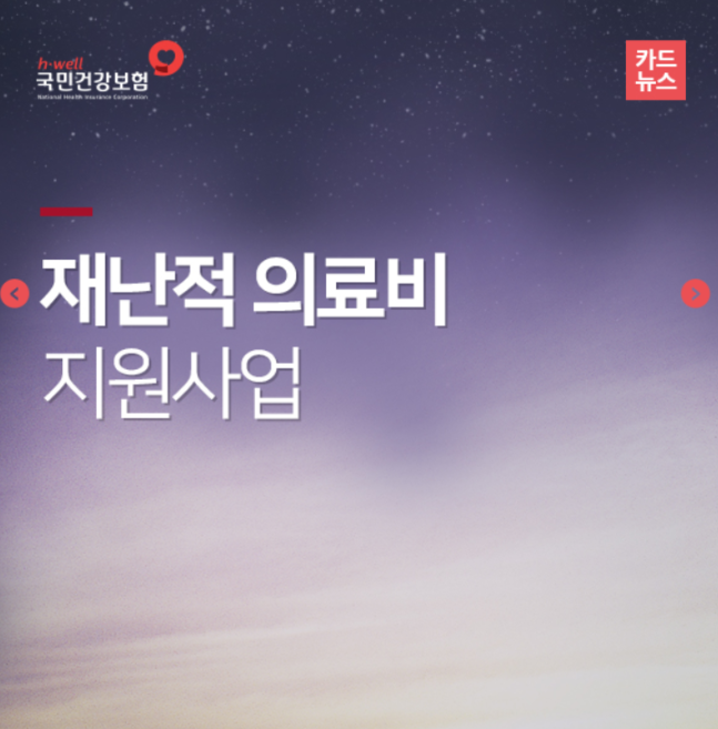 재난적의료비 지원 대상과 소득 기준, 제외 질환 요약