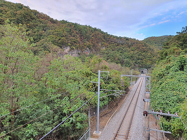 한국 철도 여행