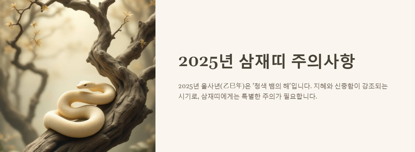 2025년 삼재띠