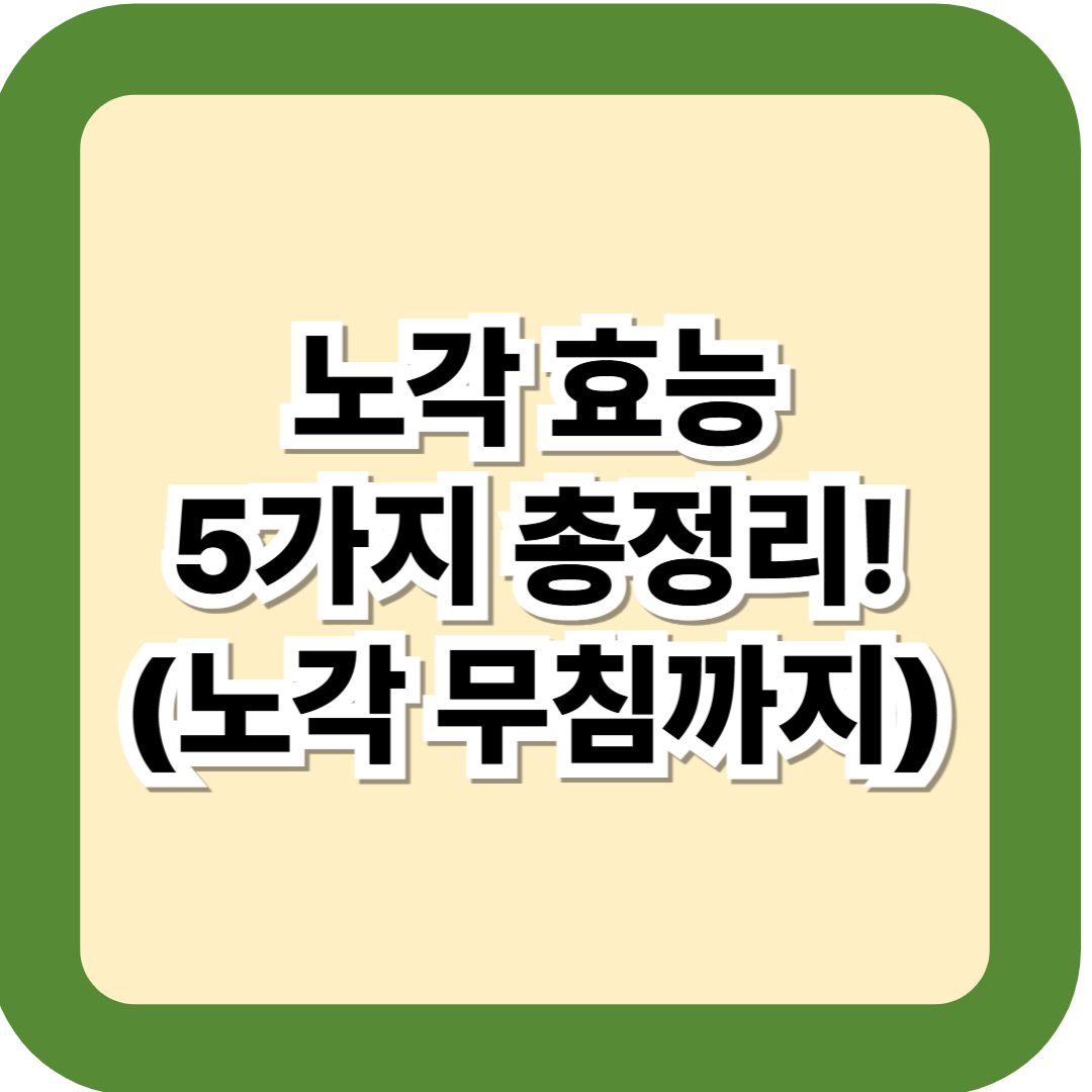 노각 효능 5가지 총정리 (노각 무침 활용법까지!)