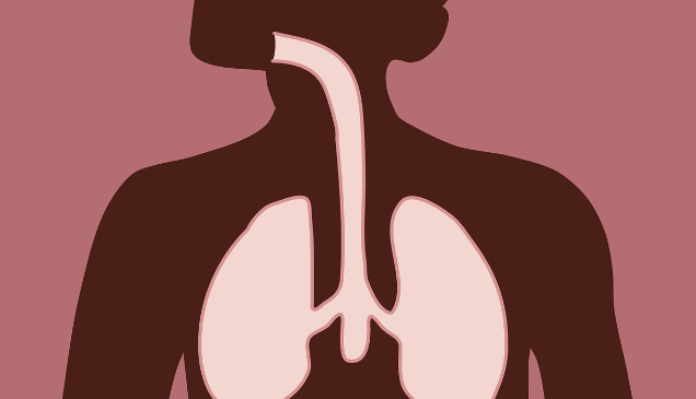 폐렴 예방접종 최신 백신 비교 (프리베나13, 프리베나20, 프로디악스23)