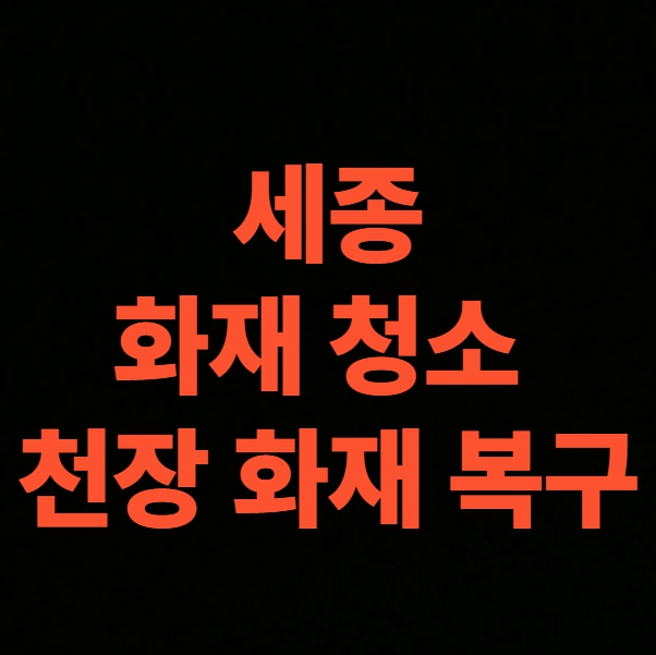 세종 화재청소 전문업체 후기, 철거부터 천장공사 까지 화재 복구