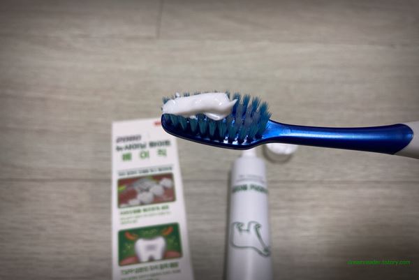 다이소 애경 2080 곰표 뉴샤이닝 화이트 치약 2022년 8월