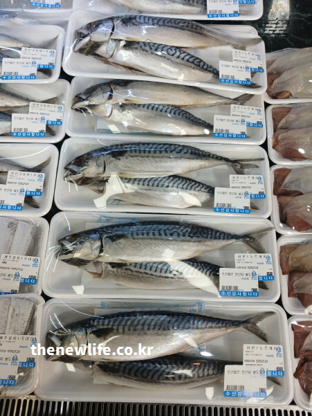 비타민D 효능을 높이는 대표 식품인 고등어 진열대 실사 이미지.