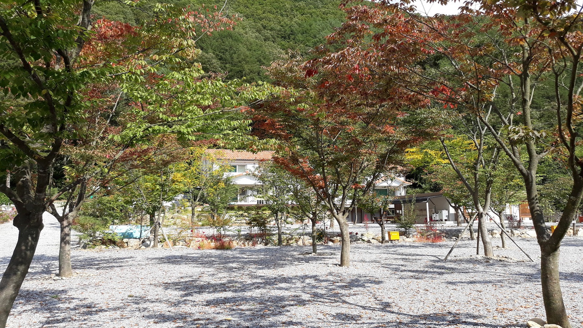 영월군늘푸른 팬션 캠핑장 예약 바로가기