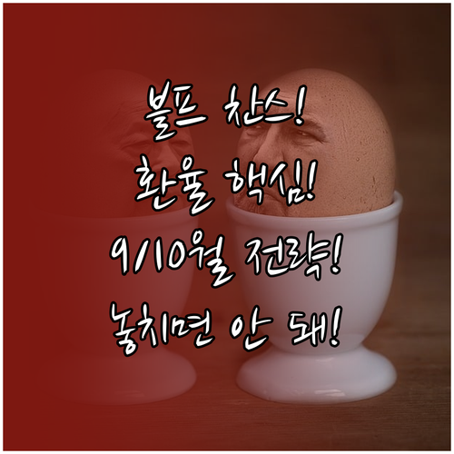 블랙프라이데이 환전 타이밍: 9월~1..