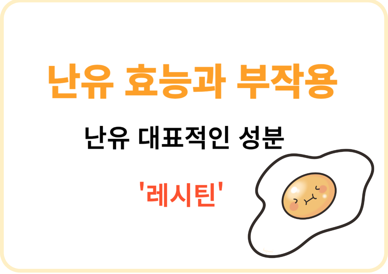 난유 효능과 부작용과 대표적인 성분인 '레시틴'에 대해 알아봤어요. 난유는 계란 노른자에서 추출한 자연의 기적, 오랜 시간 동안 사랑받아 온 가정상비약에서 현대 건강식품으로 재탄생한 이 신비로운 기름의 다양한 효능과 안전한 섭취 방법을 알아봅시다.