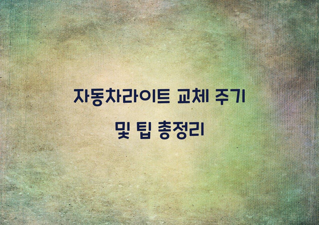 자동차라이트
