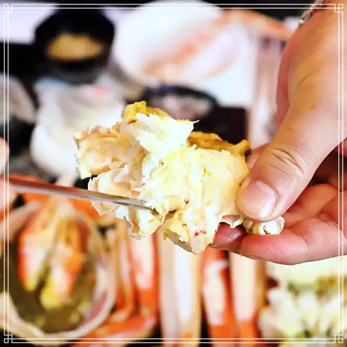 OBS 생방송 어서옵쇼 강릉 경포대 푸짐한 대게 요리 맛집