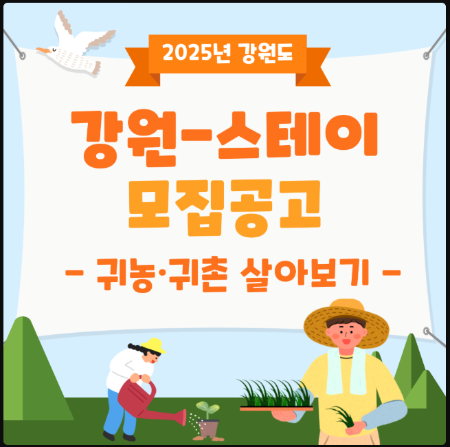 강원 스테이 모집공고 포스터