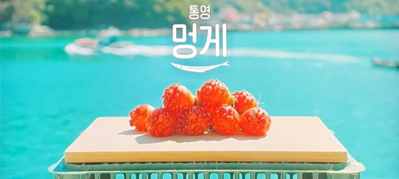 언니네 산지직송 3
