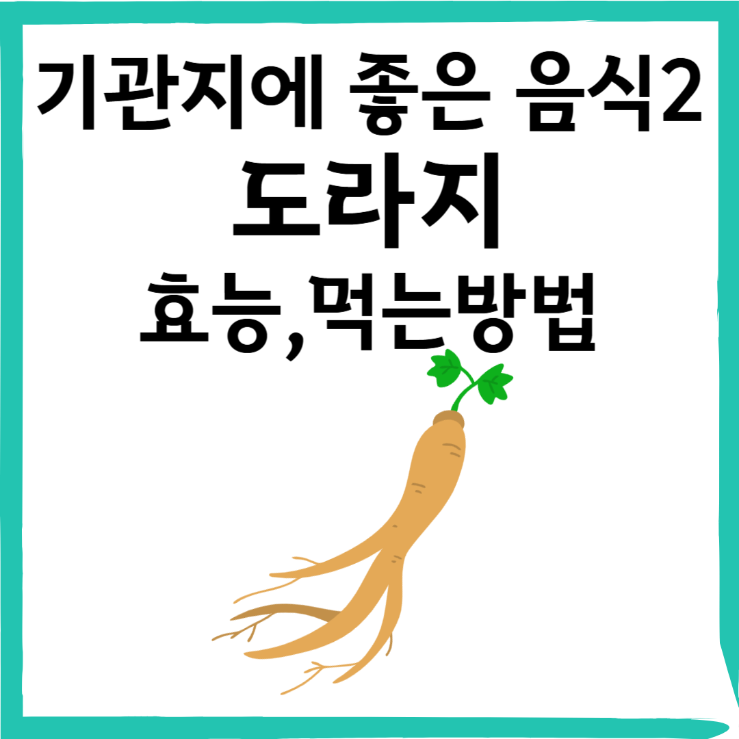 도라지(桔梗): 기관지 건강을 위한 대표적인 약초