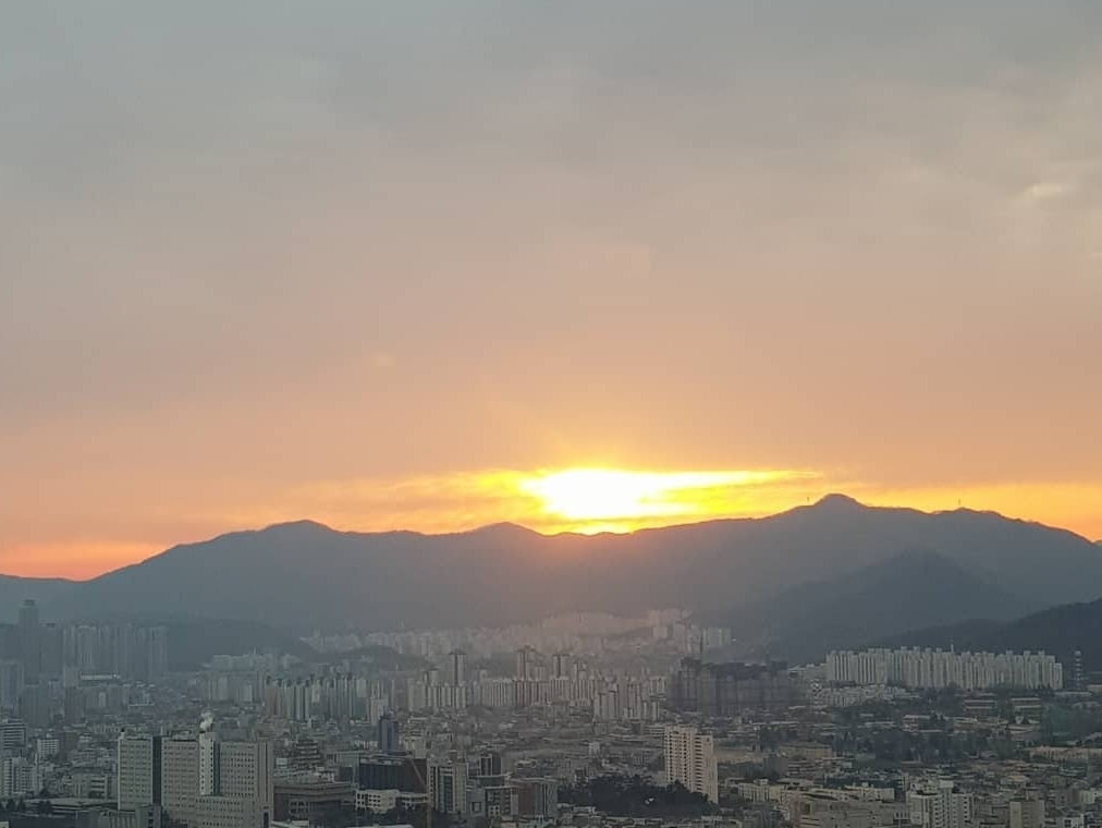 대구 해돋이 명소 두류공원
