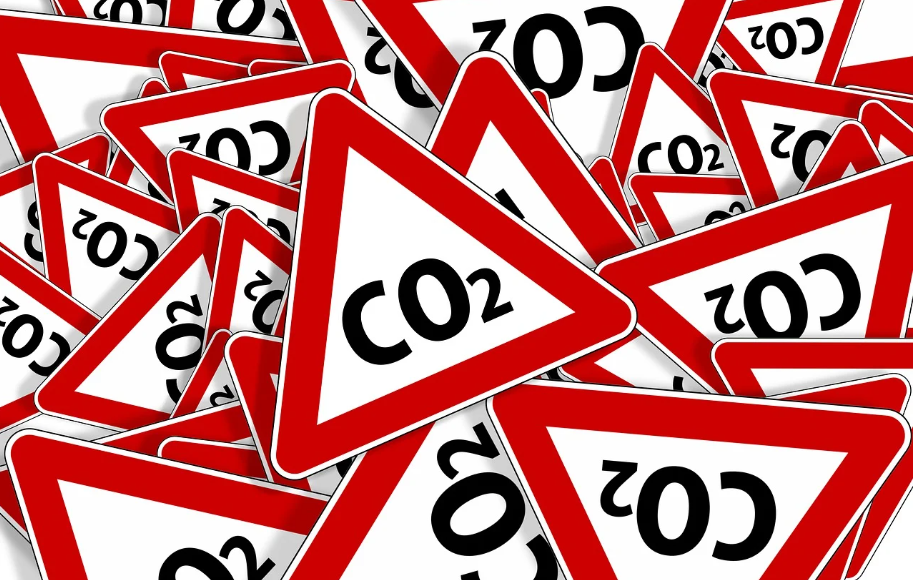 탄소배출권 투자: 친환경 시대의 새로운 투자 기회