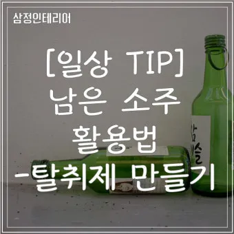 탈취제 만들기 베이킹소다와 레몬 껍질 병 보관 비율_2