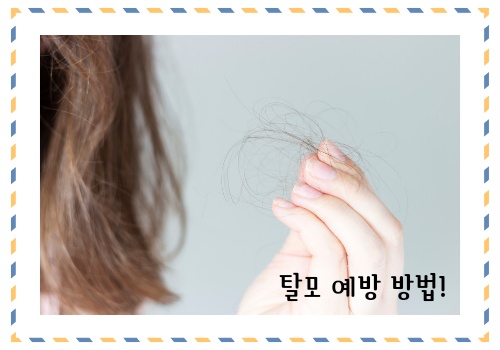 탈모 예방 방법 알아보고 예방
