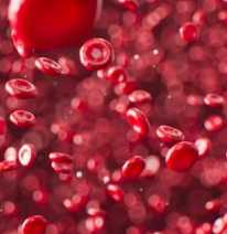 빈혈 치료방법 진단기준 합병증