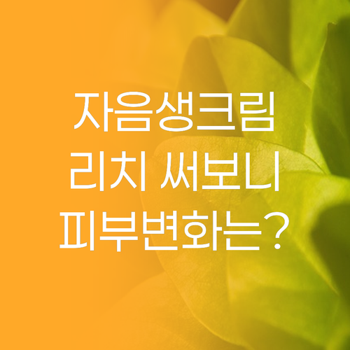 설화수 자음생크림 리치, 내 피부에 ..
