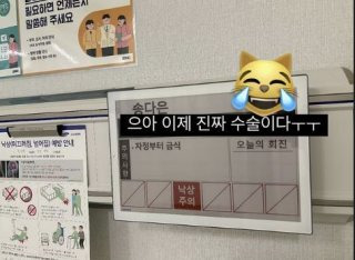 송다은 고소