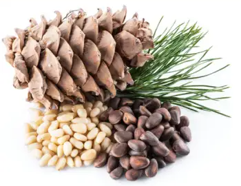 글루타치온이 많이 들어있는 음식 BEST 10