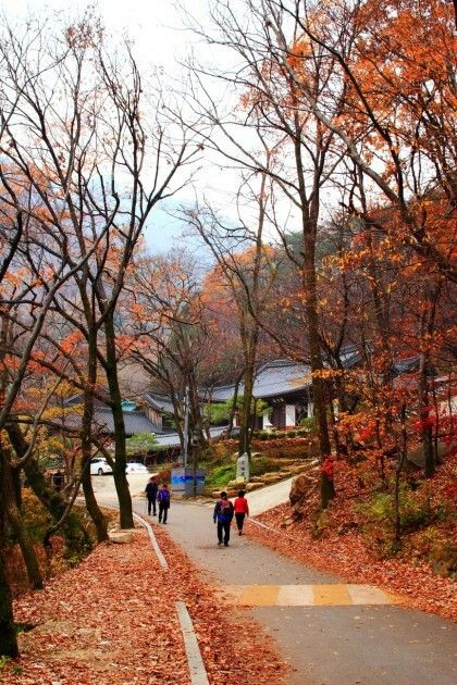 계룡산