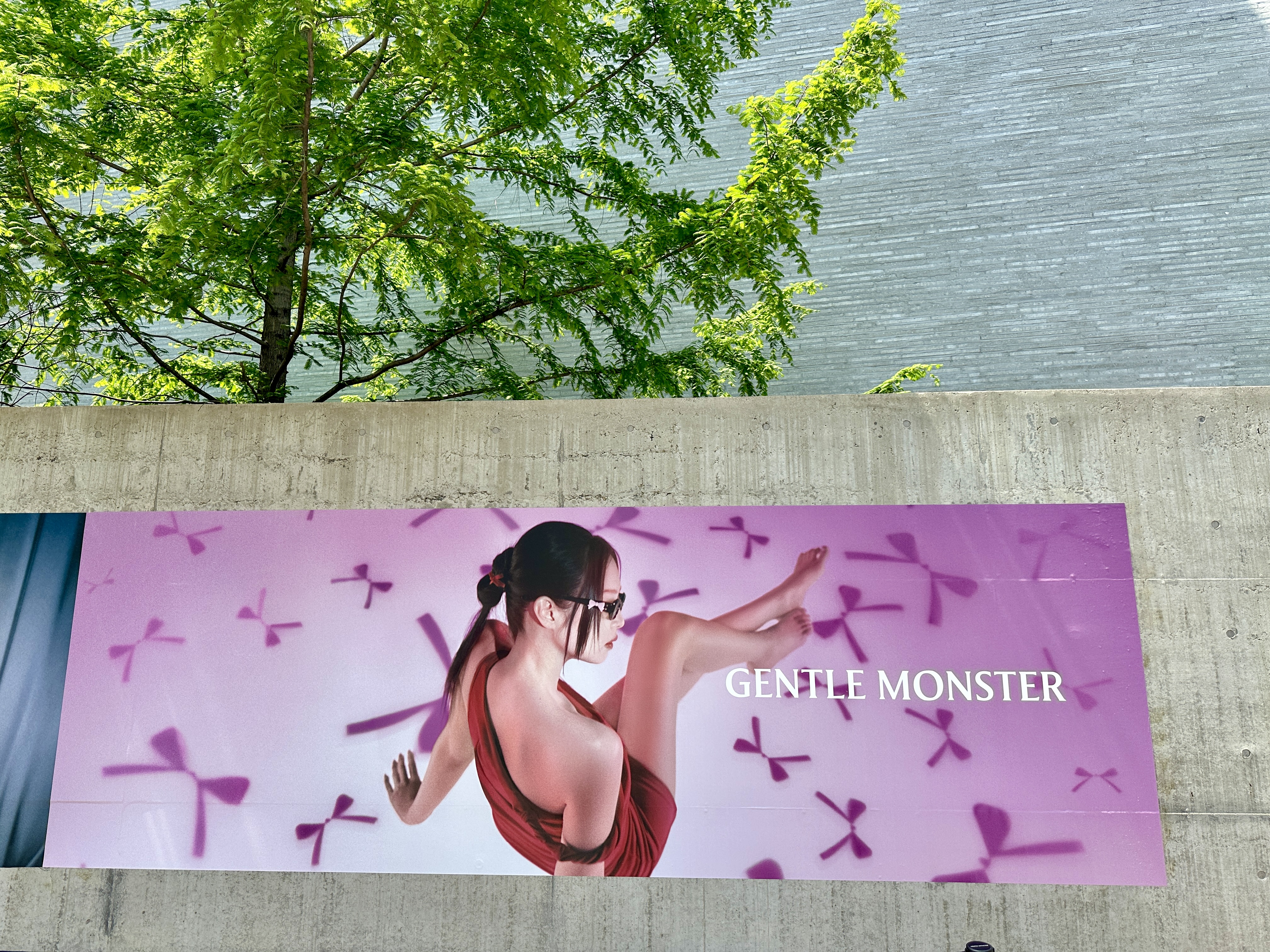 제니 X 젠틀몬스터