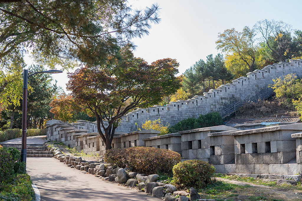 혜화문
성북동
한양도성길
백악구간
서울여행
서울단풍
가을단풍
단풍
성벽
와룡공원