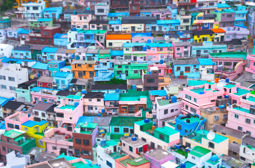 부산 관련 사진