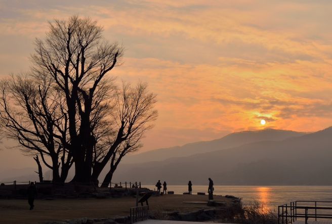 세미원 연꽃축제와 양평 가볼만한 곳 추천