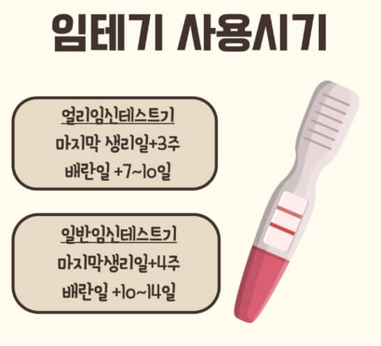 임테기-사용시기