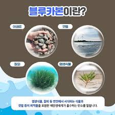 해양 생태 복원 연구원 하는 일과 하루 일과