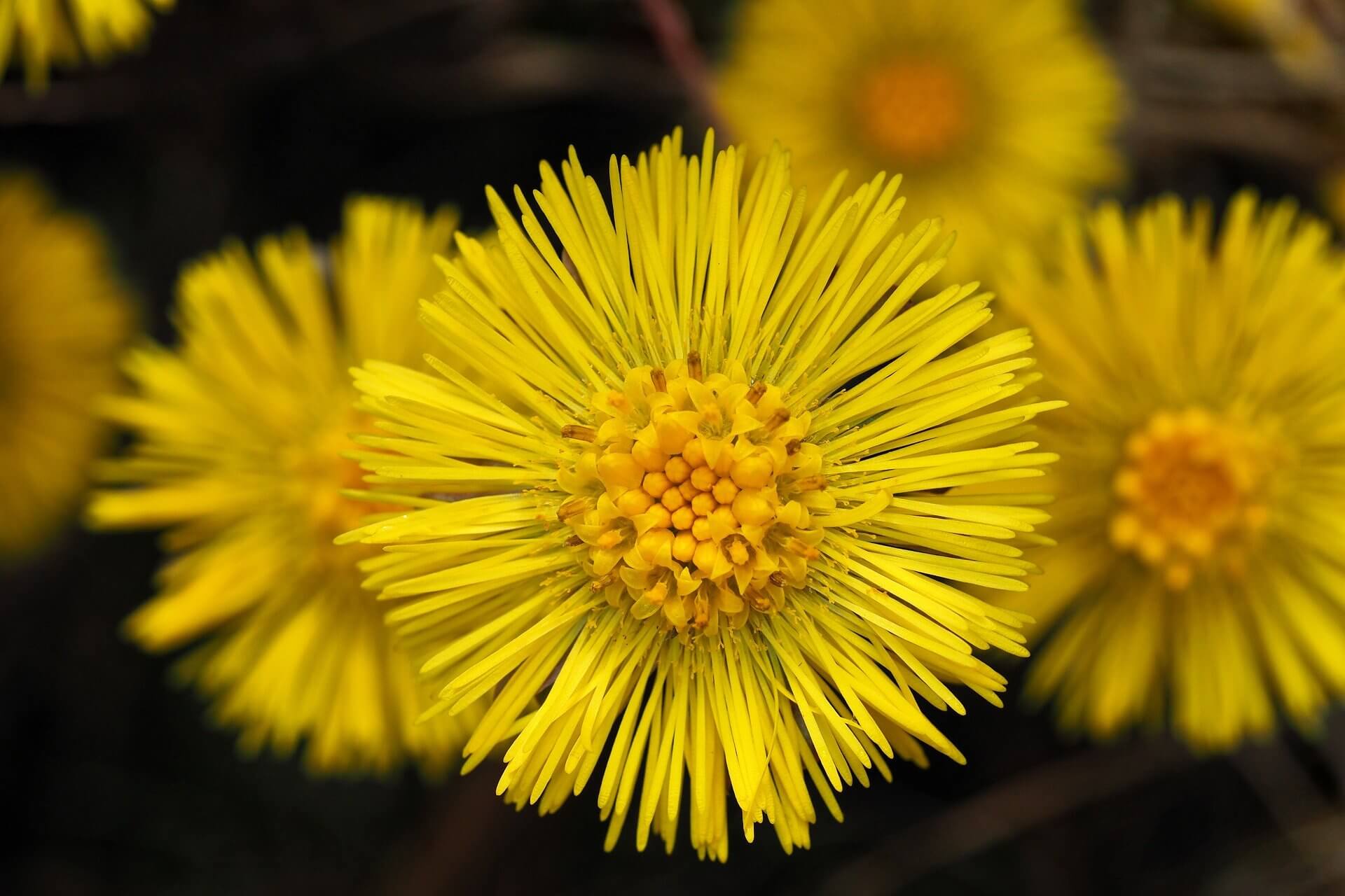 봄철 공기질 관리 방법 총정리: 환기 타이밍부터 공기청정기 필터까지