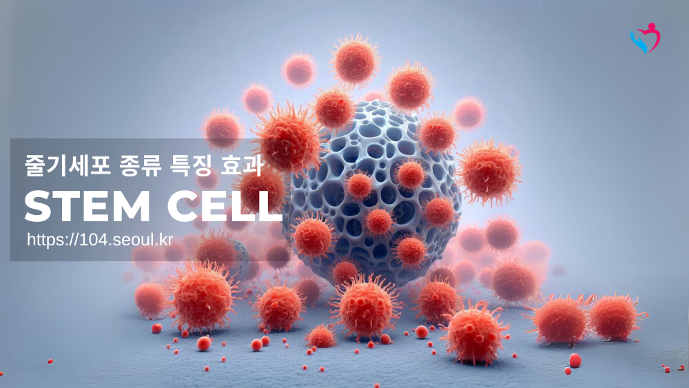 줄기세포 종류 특징 효과