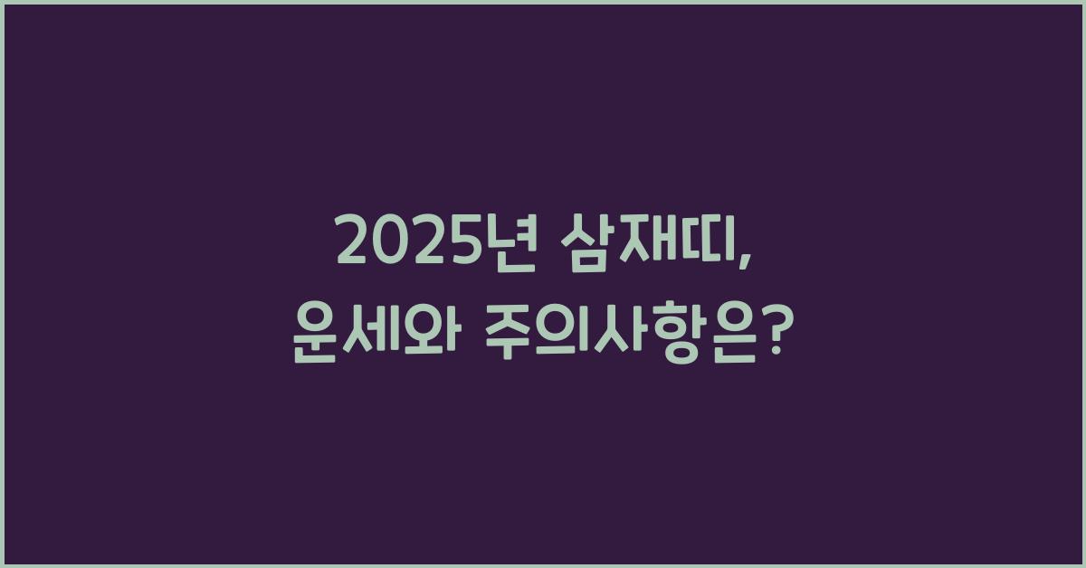2025년 삼재띠