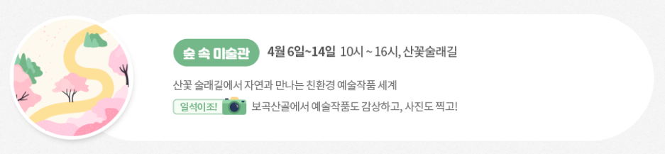 금산 보곡산골 산벚꽃 축제