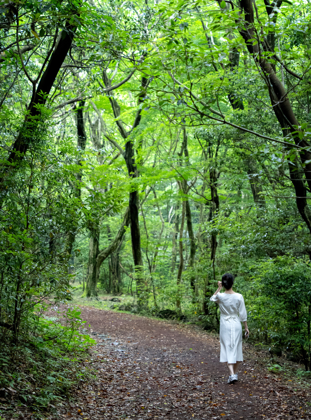 이승악 오름 가는길