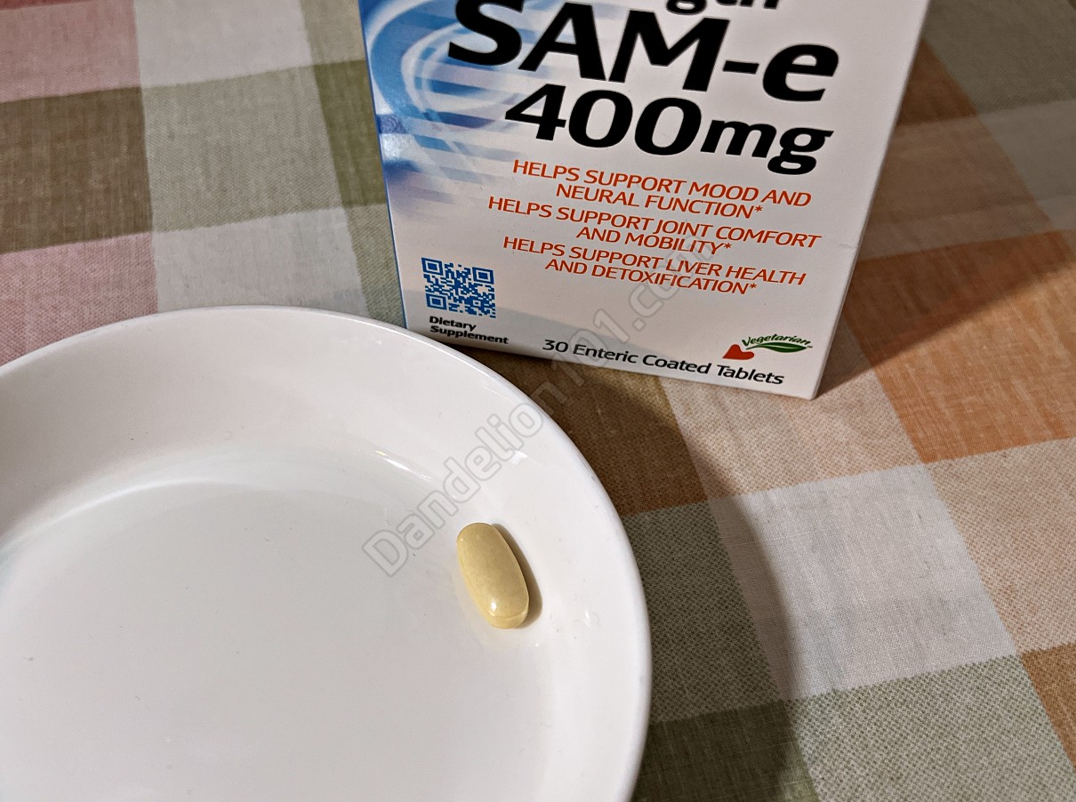 닥터스베스트 더블 스트랭스 SAM-e 400mg (Doctor's Best SAM-e Double Strength 400 mg) 알약 사진