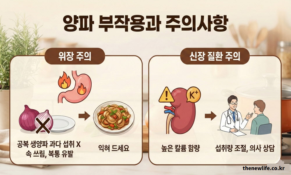 공복 섭취 시 속 쓰림 주의와 신장 질환자의 칼륨 섭취 주의 등, 건강하게 양파 효능을 누리기 위해 꼭 알아야 할 2가지 핵심 주의사항을 정리한 인포그래픽