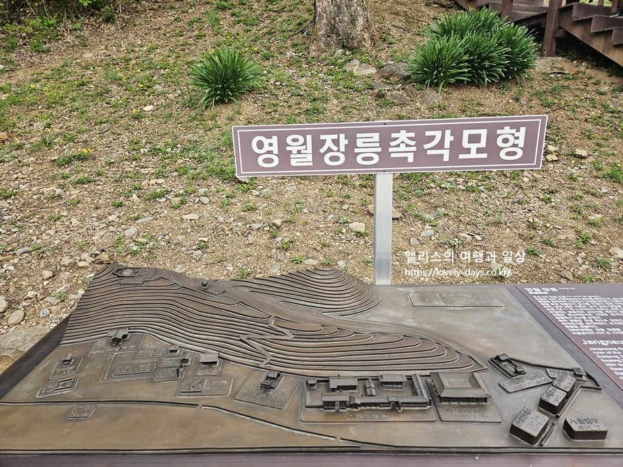 왕과사는남자투어 부산출발 영월 여행 서부시장 청령포 장릉 선돌 방문후기