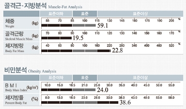 헬스장 인바디 기계로 체지방률 정상범위를 확인하는 모습