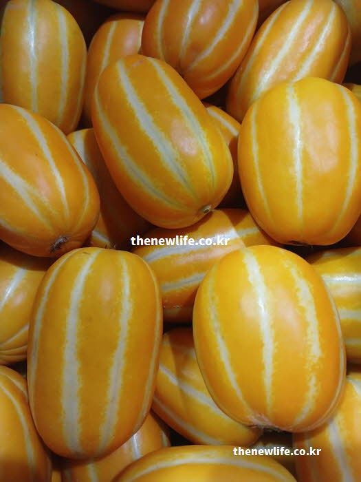 참외 효능 소화 촉진 식이섬유 실사진